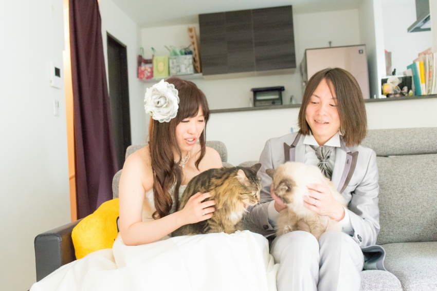 猫と一緒に記念写真を撮影できる出張タイプの写真スタジオ【ペットショット】cat-photo017