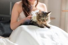猫と一緒に記念写真を撮影できる出張タイプの写真スタジオ【ペットショット】cat-photo007