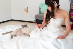 猫と一緒に記念写真を撮影できる出張タイプの写真スタジオ【ペットショット】cat-photo011
