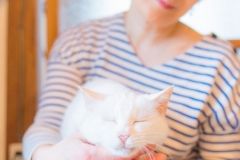 猫と一緒に記念写真を撮影できる出張タイプの写真スタジオ【ペットショット】cat-photo-0110